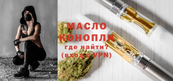 амф Бородино