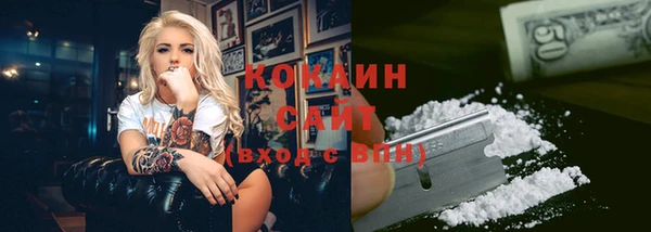 амф Бородино