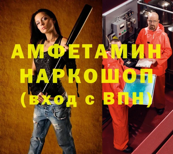амф Бородино
