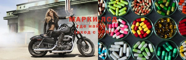 амф Бородино