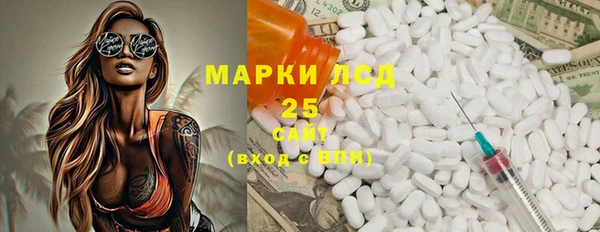 амф Бородино