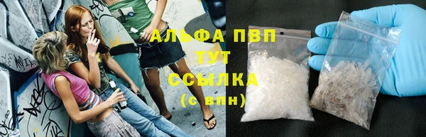 амф Бородино