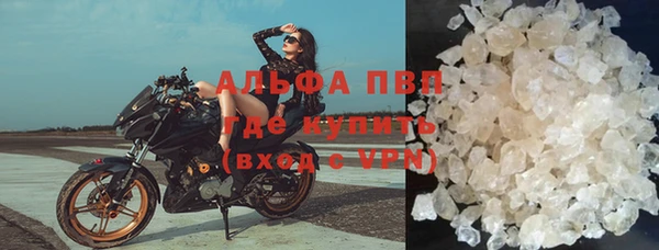 амф Бородино