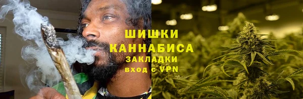 амф Бородино