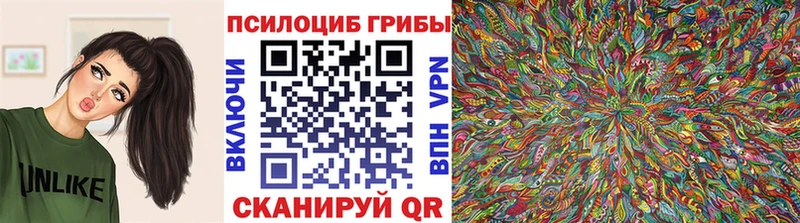 Псилоцибиновые грибы GOLDEN TEACHER  Щёлково 